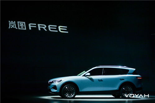 嵐圖FREE首秀后,盧放雷新兩位掌門(mén)人談了談嵐圖的下一步